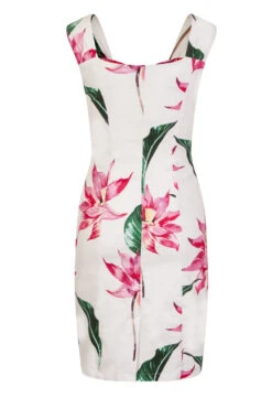 Andromeda Pencil Dress -EliteCloset Sales Store 15260515004170203