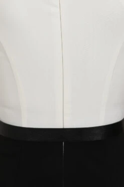 Sasha Two Tone Wiggle Dress -EliteCloset Sales Store 1644341528395204