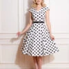 Tammy Polka Dot Swing Dress